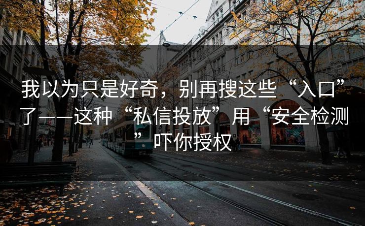 我以为只是好奇，别再搜这些“入口”了——这种“私信投放”用“安全检测”吓你授权
